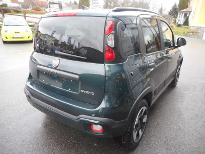 Fiat Panda Neuwagen