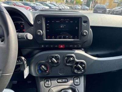 Fiat Panda Vorführwagen Fiat Panda Vorführwagen