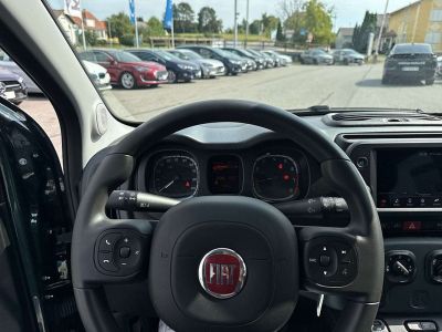 Fiat Panda Vorführwagen Fiat Panda Vorführwagen