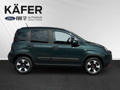 Fiat Panda Vorführwagen Fiat Panda Vorführwagen
