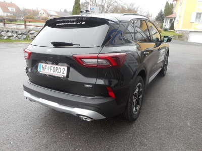 Ford Kuga Vorführwagen