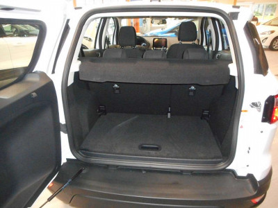 Ford EcoSport Gebrauchtwagen