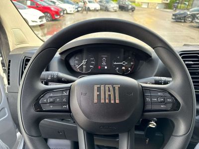 Fiat Ducato Vorführwagen