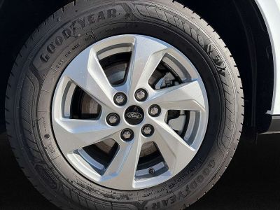 Ford Transit Custom Neuwagen