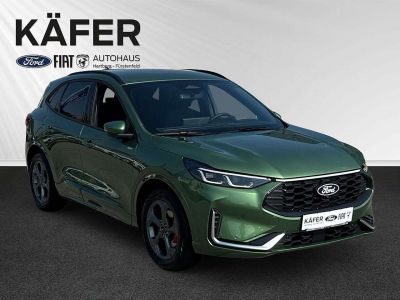 Ford Kuga Vorführwagen