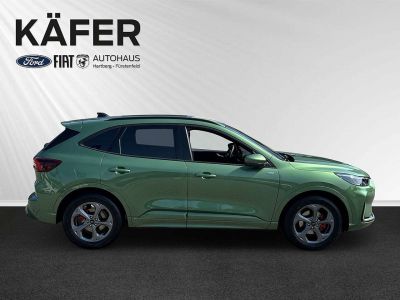 Ford Kuga Vorführwagen