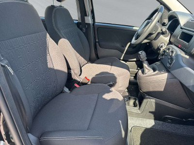 Fiat Panda Neuwagen