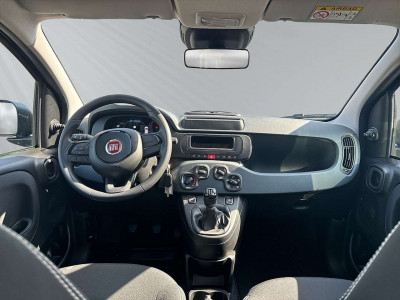 Fiat Panda Neuwagen