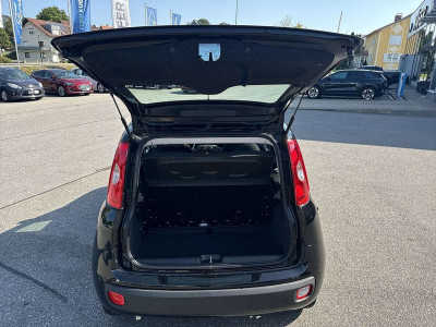 Fiat Panda Neuwagen
