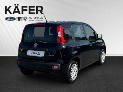 Fiat Panda Neuwagen