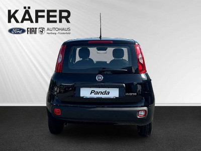 Fiat Panda Neuwagen