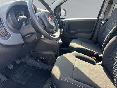 Fiat Panda Neuwagen