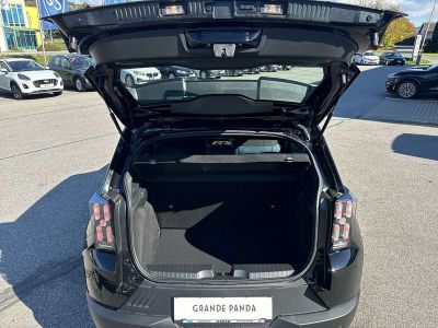 Fiat Grande Panda Vorführwagen