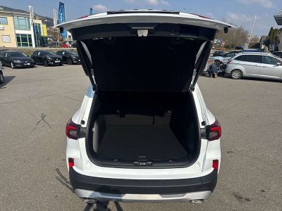 Ford Kuga Neuwagen