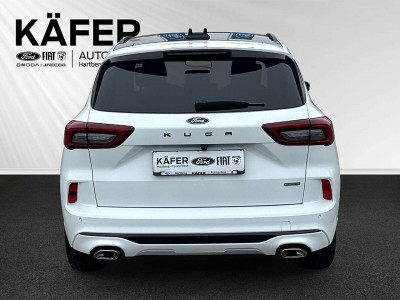 Ford Kuga Neuwagen