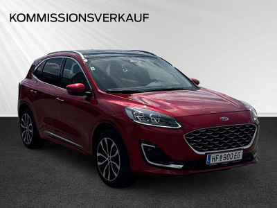 Ford Kuga Gebrauchtwagen