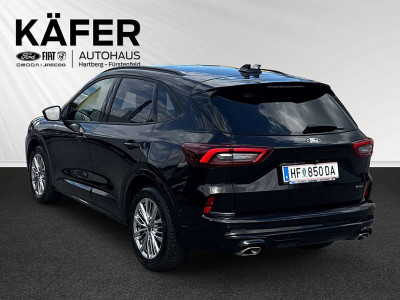 Ford Kuga Gebrauchtwagen Ford Kuga Gebrauchtwagen
