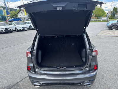 Ford Kuga Gebrauchtwagen Ford Kuga Gebrauchtwagen