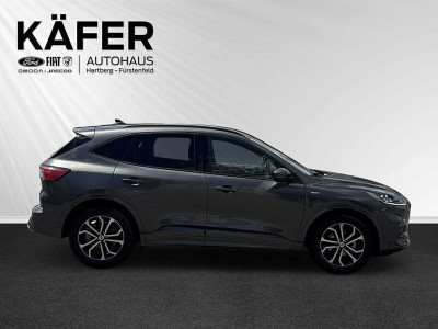 Ford Kuga Gebrauchtwagen Ford Kuga Gebrauchtwagen