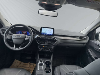 Ford Kuga Gebrauchtwagen