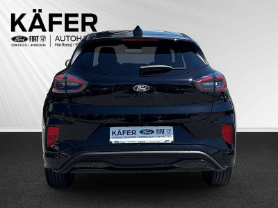 Ford Puma Gebrauchtwagen Ford Puma Gebrauchtwagen