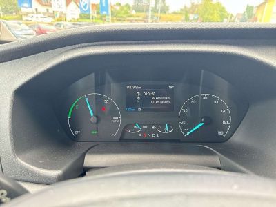 Ford Transit Vorführwagen Ford Transit Vorführwagen