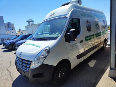 Renault Master Gebrauchtwagen