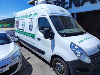 Renault Master Gebrauchtwagen