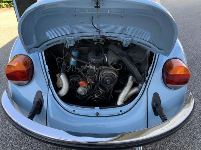 VW Käfer Oldtimer VW Käfer Oldtimer