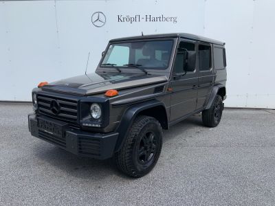 Mercedes-Benz G-Klasse Gebrauchtwagen