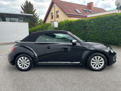 VW Beetle Gebrauchtwagen