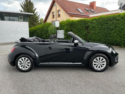 VW Beetle Gebrauchtwagen