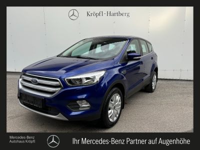 Ford Kuga Gebrauchtwagen