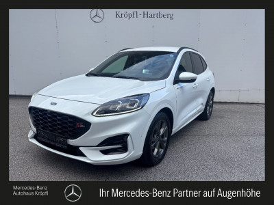 Ford Kuga Gebrauchtwagen Ford Kuga Gebrauchtwagen