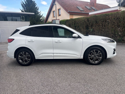 Ford Kuga Gebrauchtwagen Ford Kuga Gebrauchtwagen