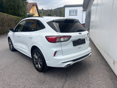 Ford Kuga Gebrauchtwagen Ford Kuga Gebrauchtwagen