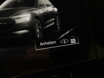 Audi Q8 e-tron Gebrauchtwagen