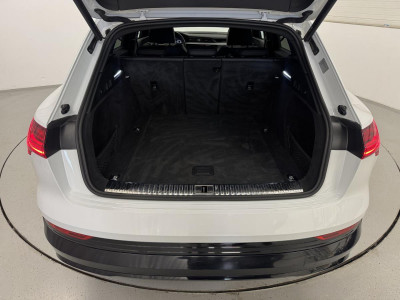 Audi Q8 e-tron Gebrauchtwagen