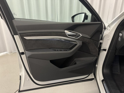 Audi Q8 e-tron Gebrauchtwagen