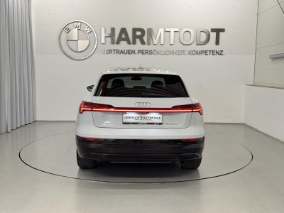 Audi Q8 e-tron Gebrauchtwagen