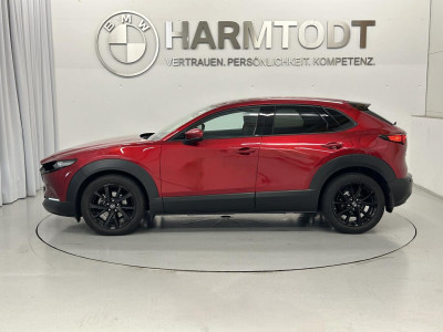 Mazda CX-30 Gebrauchtwagen