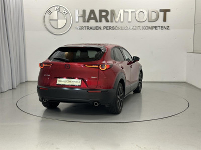 Mazda CX-30 Gebrauchtwagen