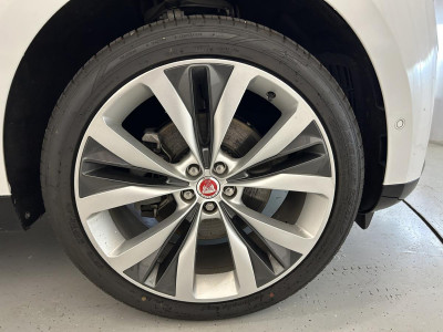 Jaguar F-Pace Gebrauchtwagen