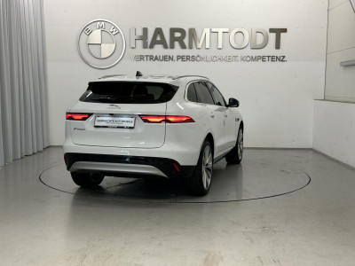 Jaguar F-Pace Gebrauchtwagen