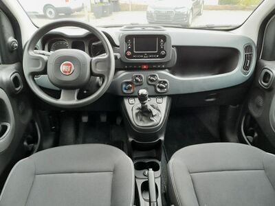 Fiat Panda Gebrauchtwagen