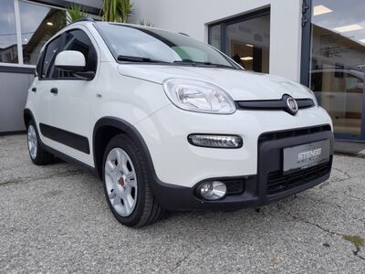 Fiat Panda Gebrauchtwagen