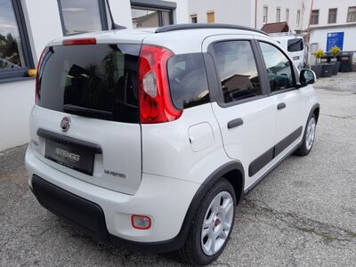 Fiat Panda Gebrauchtwagen