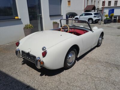 Austin Healy Sprite Gebrauchtwagen