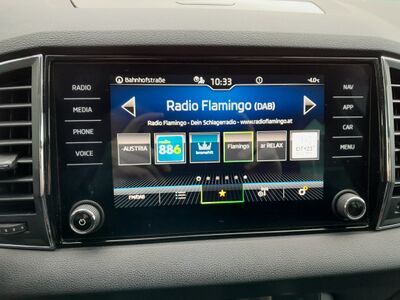 Skoda Karoq Gebrauchtwagen