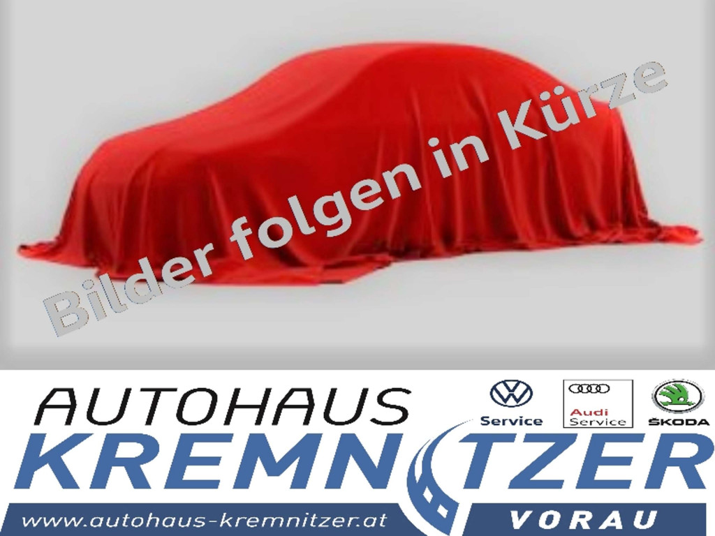 VW Beetle Gebrauchtwagen